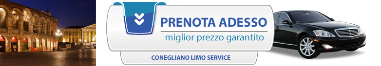 Prenota o chiedi informazioni sul noleggio auto con conducente a Verona