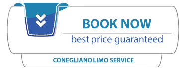 airport limo transfer venice book now