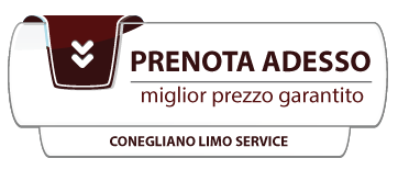 Prenota adesso il tuo transfer da e per l'aeroporto