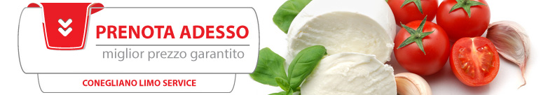 Chiedi informazioni o prenota il tuo tour enogastronomico con Conegliano Limo Service